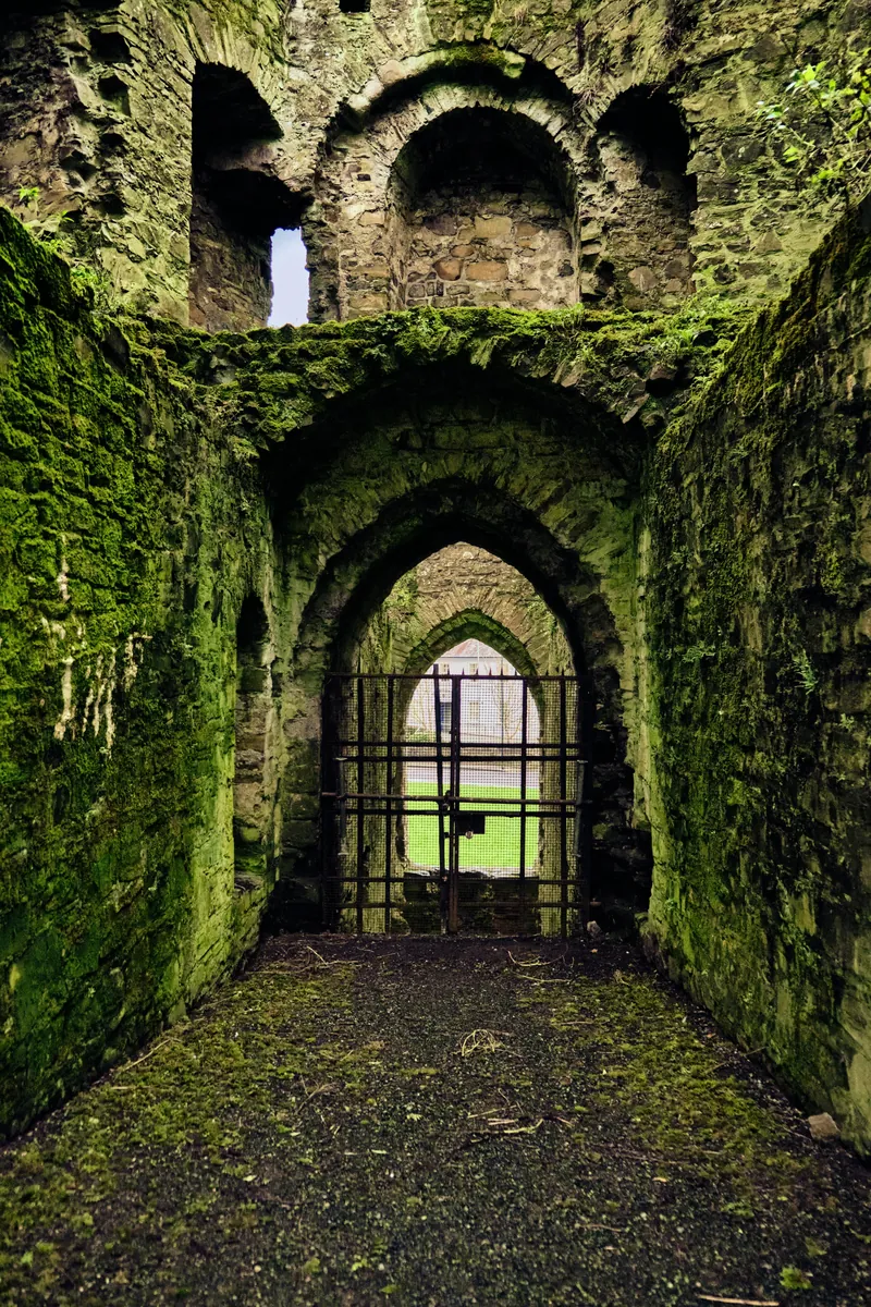 Historic stone arches at Trim Castle on a Boyne Valley private tour